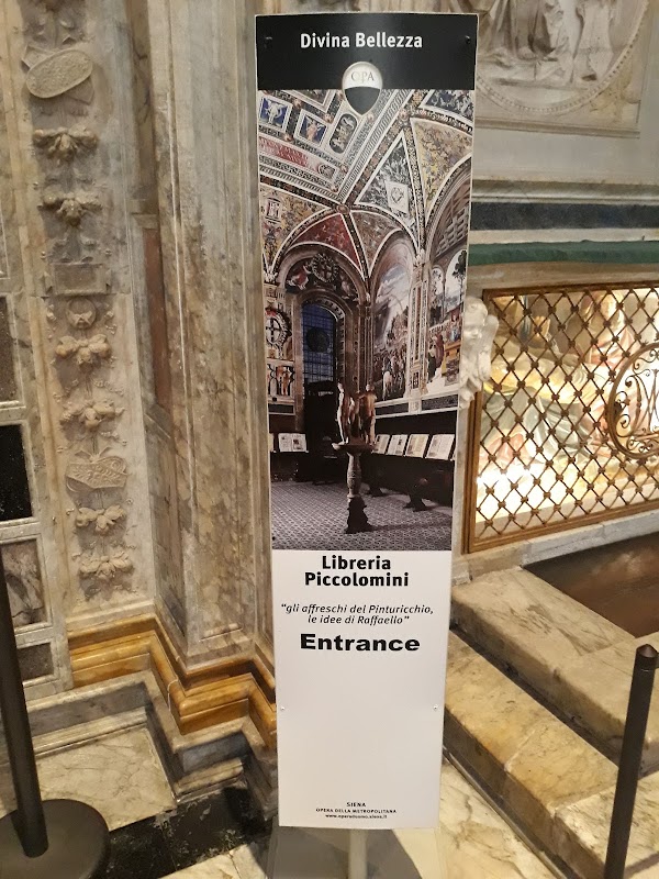 Piccolomini Library 2