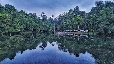 Kota Damansara Community Forest Reserve