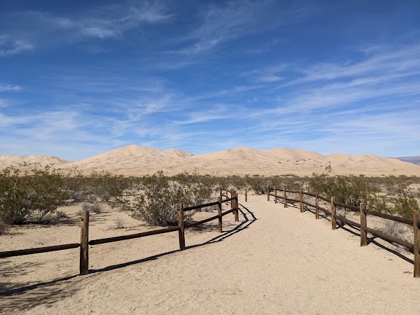 Kelso Dunes Trail 5