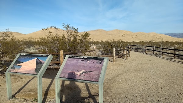Kelso Dunes Trail 4