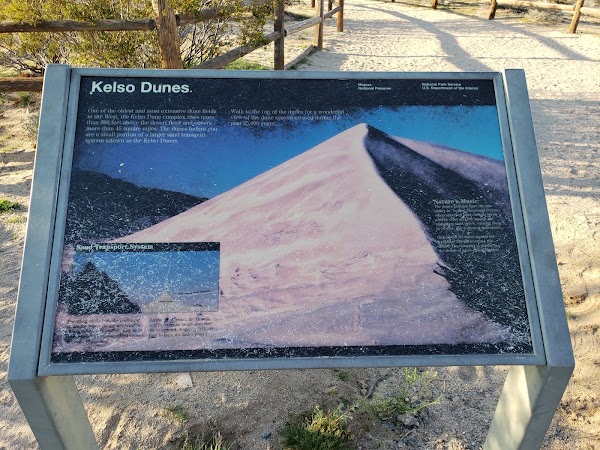 Kelso Dunes Trail 3