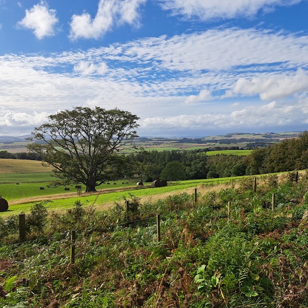 Chillingham Wild Cattle Association