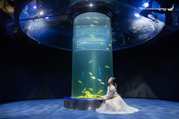 Lotte World Aquarium Hà Nội 5