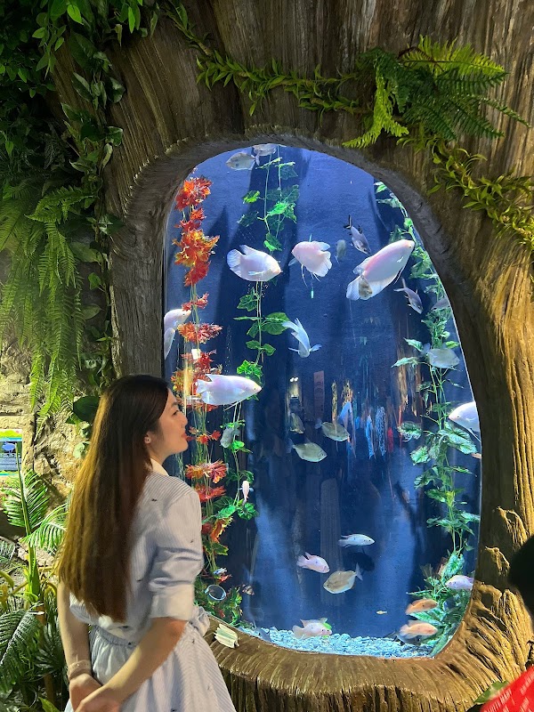 Lotte World Aquarium Hà Nội 3