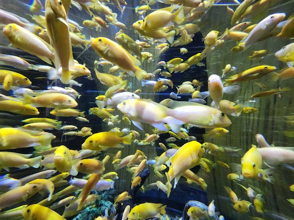 Lotte World Aquarium Hà Nội 2