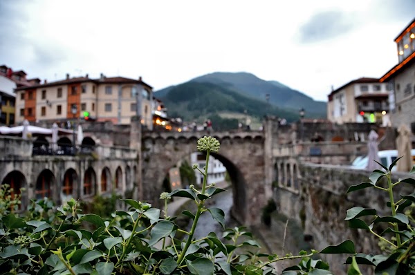 Potes 5