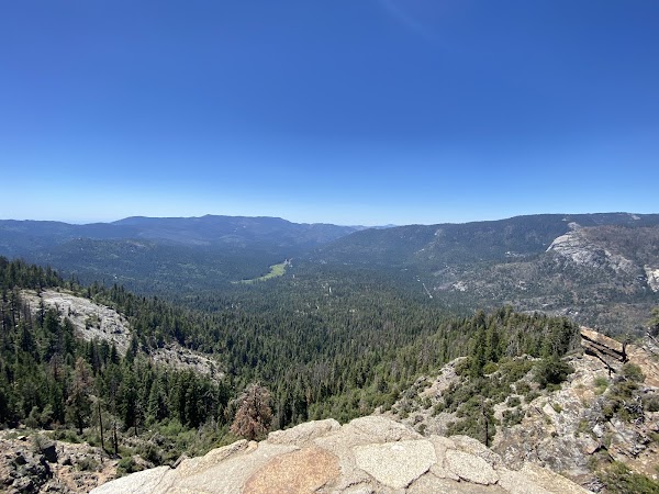 Mariposa Grove 4