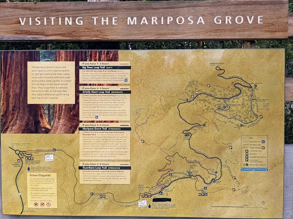 Mariposa Grove 3