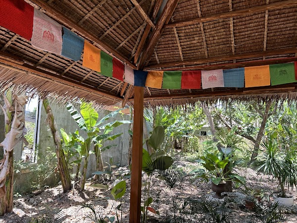 Jing Yoga & Wellness 1