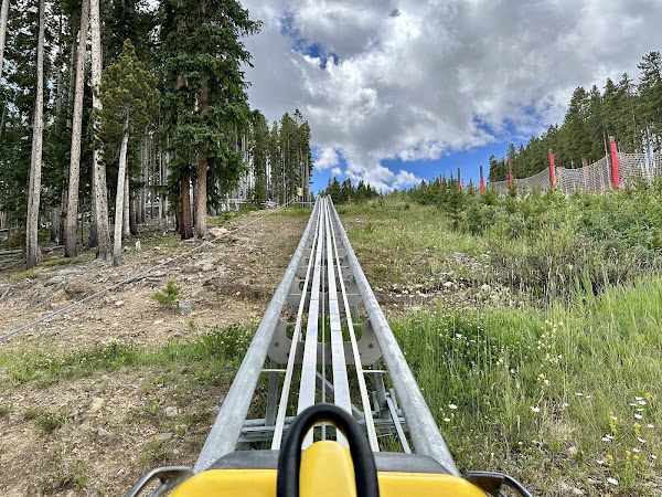 Gold Runner Coaster