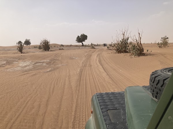 Erg Chigaga 3