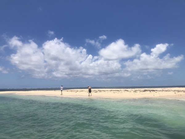 Île aux Flamants