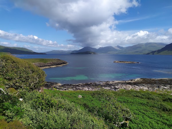 Ulva