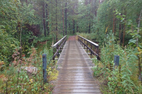 Øvre Pasvik nasjonalpark