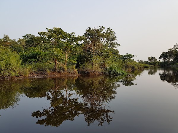 Odzala-Kokoua National Park 3