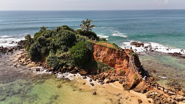 Parrot Rock