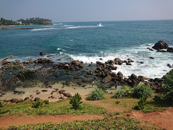 Parrot Rock 5