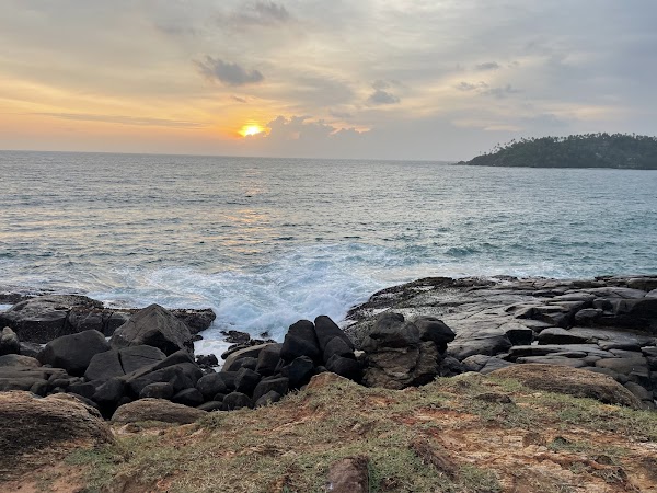 Parrot Rock 2