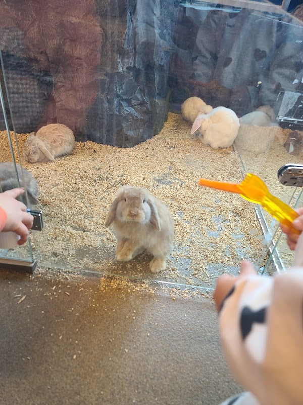 애니멀숲 ANIMAL SOOP (animal cafe) 5