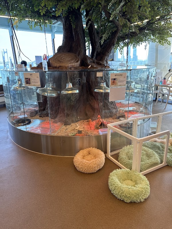 애니멀숲 ANIMAL SOOP (animal cafe) 2