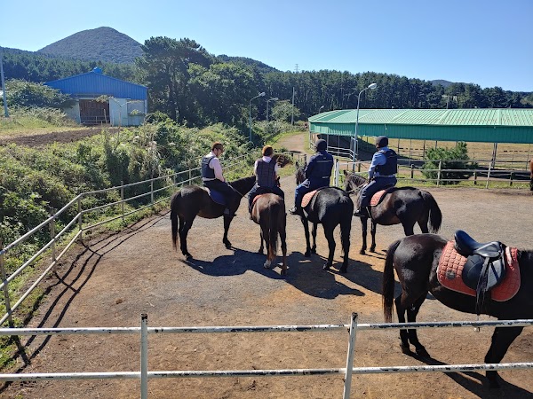 Jeju Horse Riding Park
