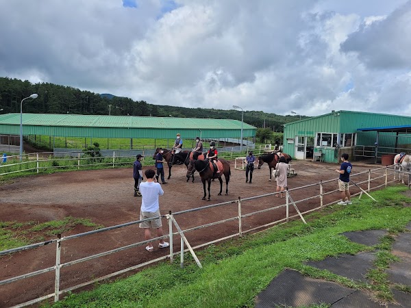 Jeju Horse Riding Park 5