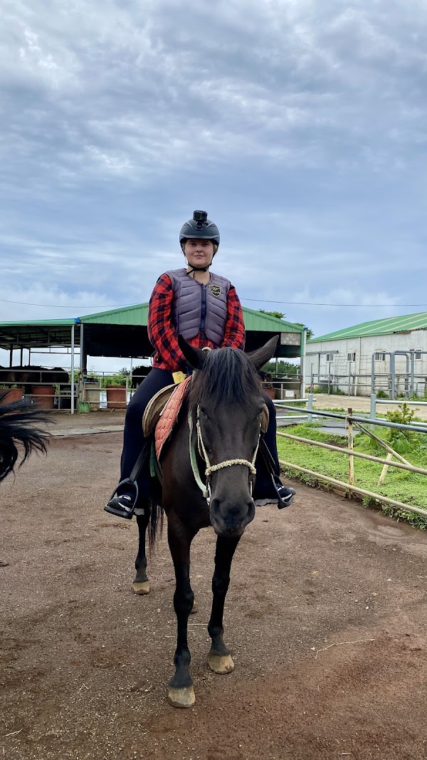 Jeju Horse Riding Park 3