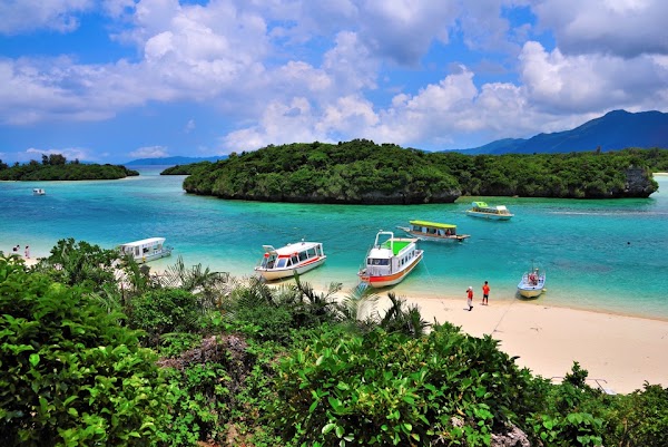 Amami Island 1