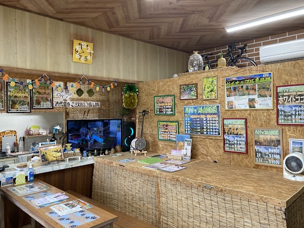 Ishigakijimakabiramaetakeno Orchards