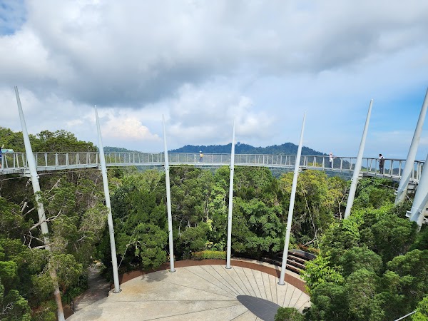 Curtis Crest Treetop Walk