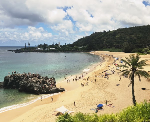 Waimea Bay Beach 4