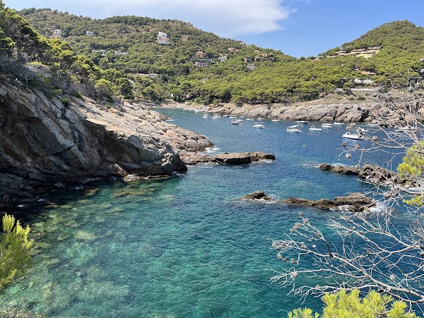 Cala Ses Vaques