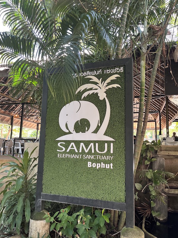 Samui Elephant Sanctuary Bophut 3