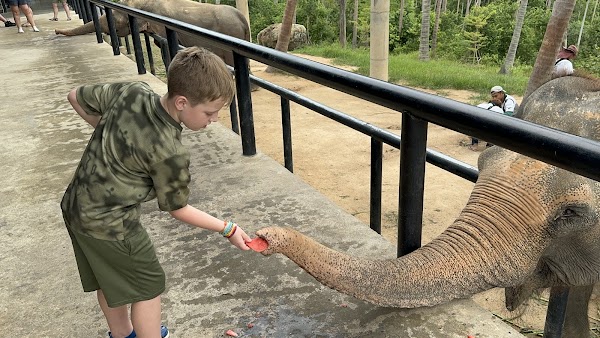 Samui Elephant Sanctuary Bophut 2
