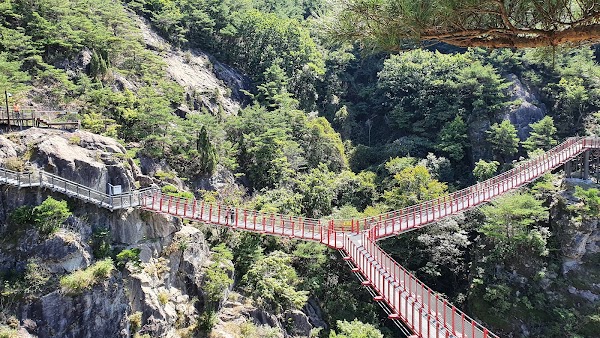 Geochang Udusan Y-Shaped Suspension Bridge 1