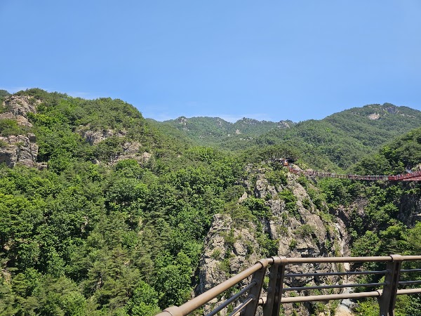 Geochang Udusan Y-Shaped Suspension Bridge 5