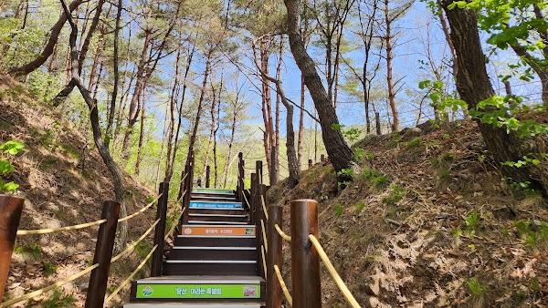 Geochang Udusan Y-Shaped Suspension Bridge 4