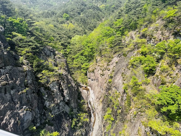 Geochang Udusan Y-Shaped Suspension Bridge 3