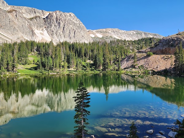 Medicine Bow-Routt National Forest