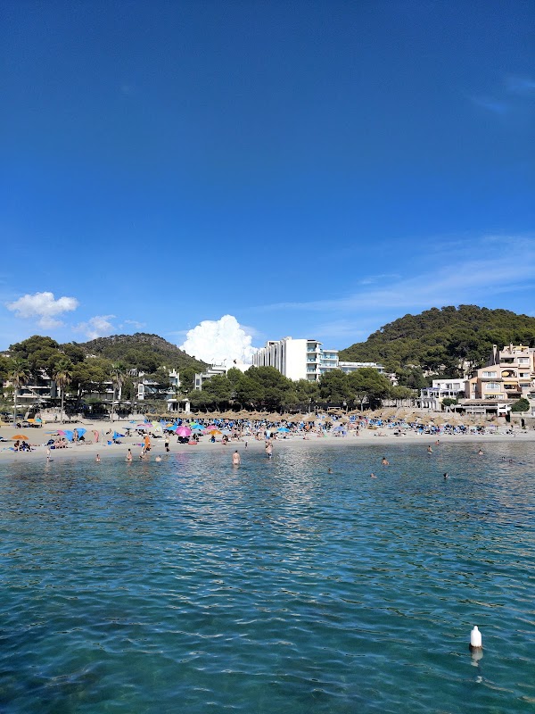 Camp de Mar 2
