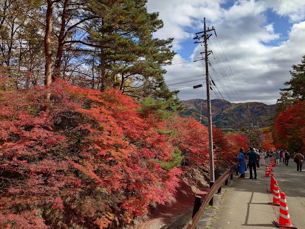 Lake Kawaguchi Maple Corridor 5
