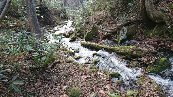 Mt. Tengu 5