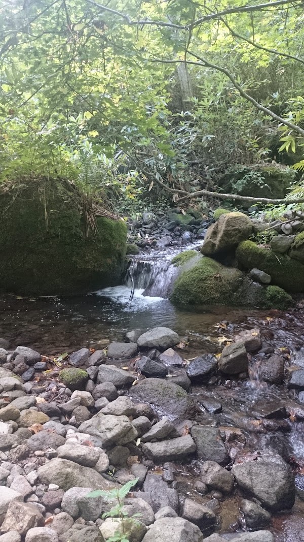 Mt. Tengu 3