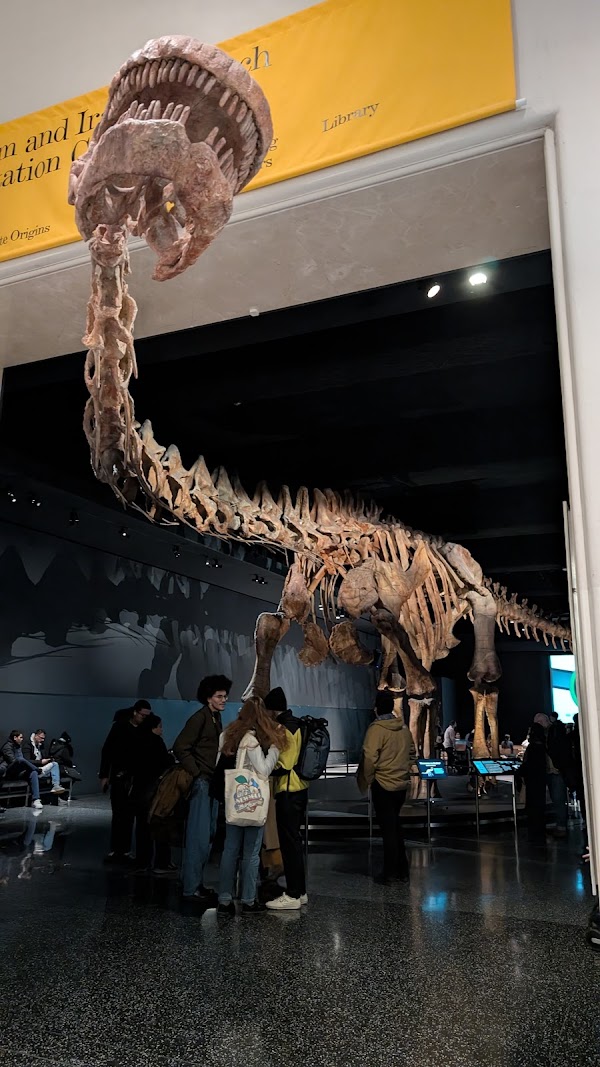 Hall of Saurischian Dinosaurs 4
