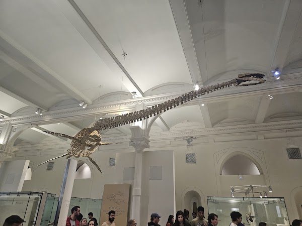 Hall of Saurischian Dinosaurs 3