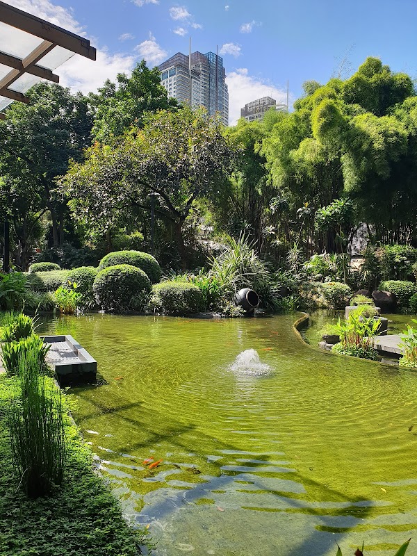 Greenbelt Park 5