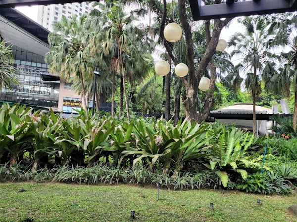 Greenbelt Park 3