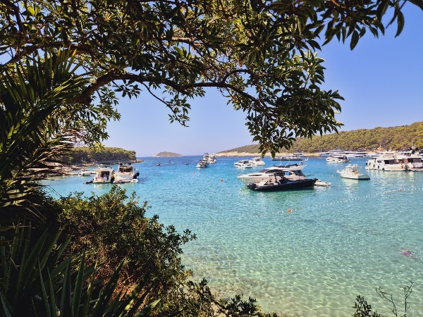 Palmižana Beach