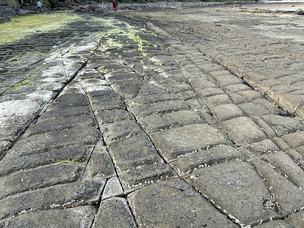 Tessellated Pavement 1