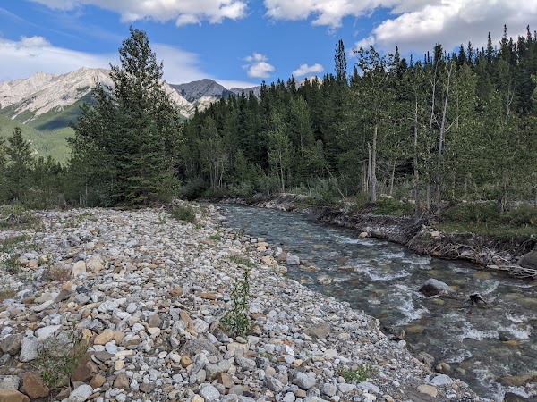 Ribbon Creek Day Use Area 4